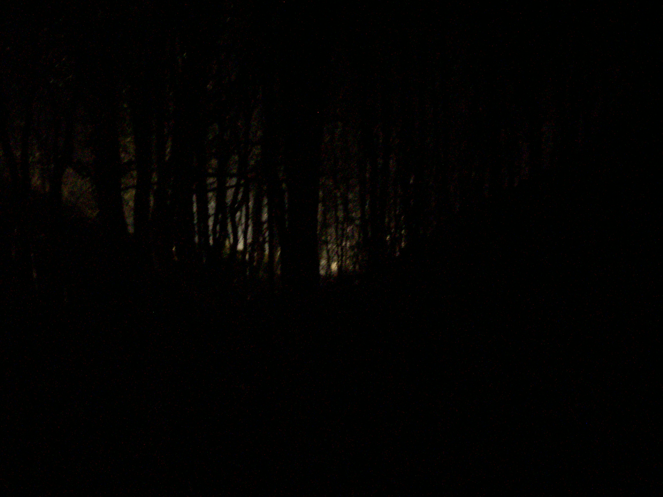Trees...